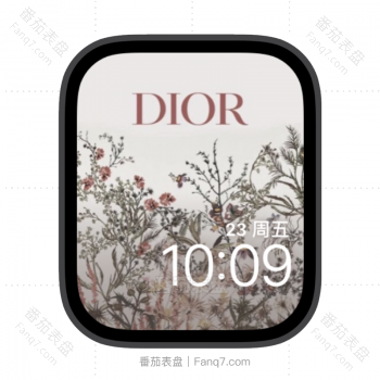 Dior迪奥插画苹果iwatch壁纸表盘.watchface