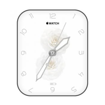apple苹果白玫瑰简约表盘.clock