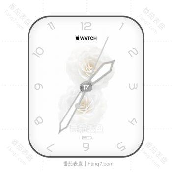 apple苹果白玫瑰简约表盘.clock