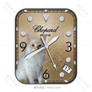 Saphyr bye dg57布偶猫棕色表盘.clock