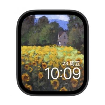 村里的菊花田野苹果iwatch壁纸表盘.watchface