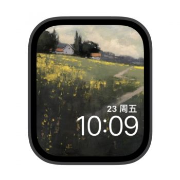 远处就是俺们村苹果iwatch壁纸表盘.watchface