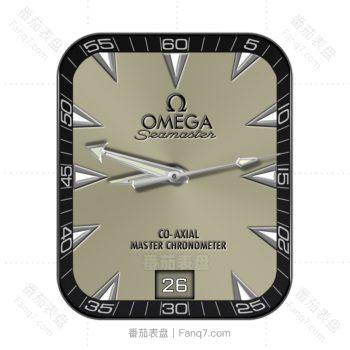 OMEGA 欧米茄米棕色简约表盘.clock