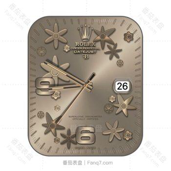 劳力士ROLEX花瓣玫瑰金表盘.clock