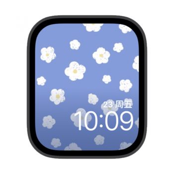 油画小白花苹果iwatch壁纸表盘.watchface