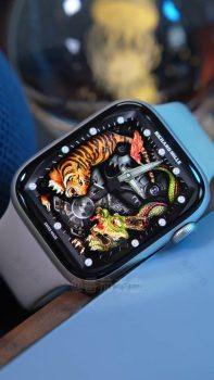 理查德米勒龙虎争霸艺术动态机械表盘分享