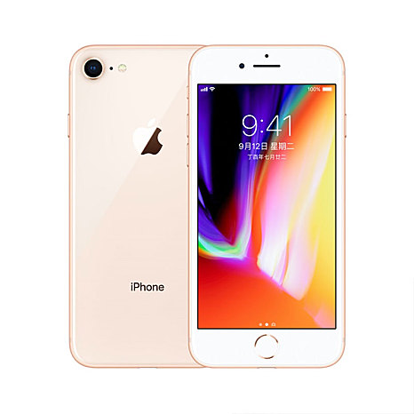 苹果/Apple iphone8(A1863) 4.7寸 1200万摄像头支持4K拍摄