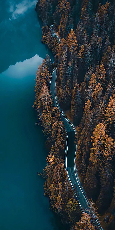 手机壁纸 ｜你是我生命中最美的彩虹